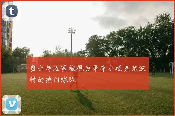 勇士与活塞被视为争夺小迈克尔波特的热门球队